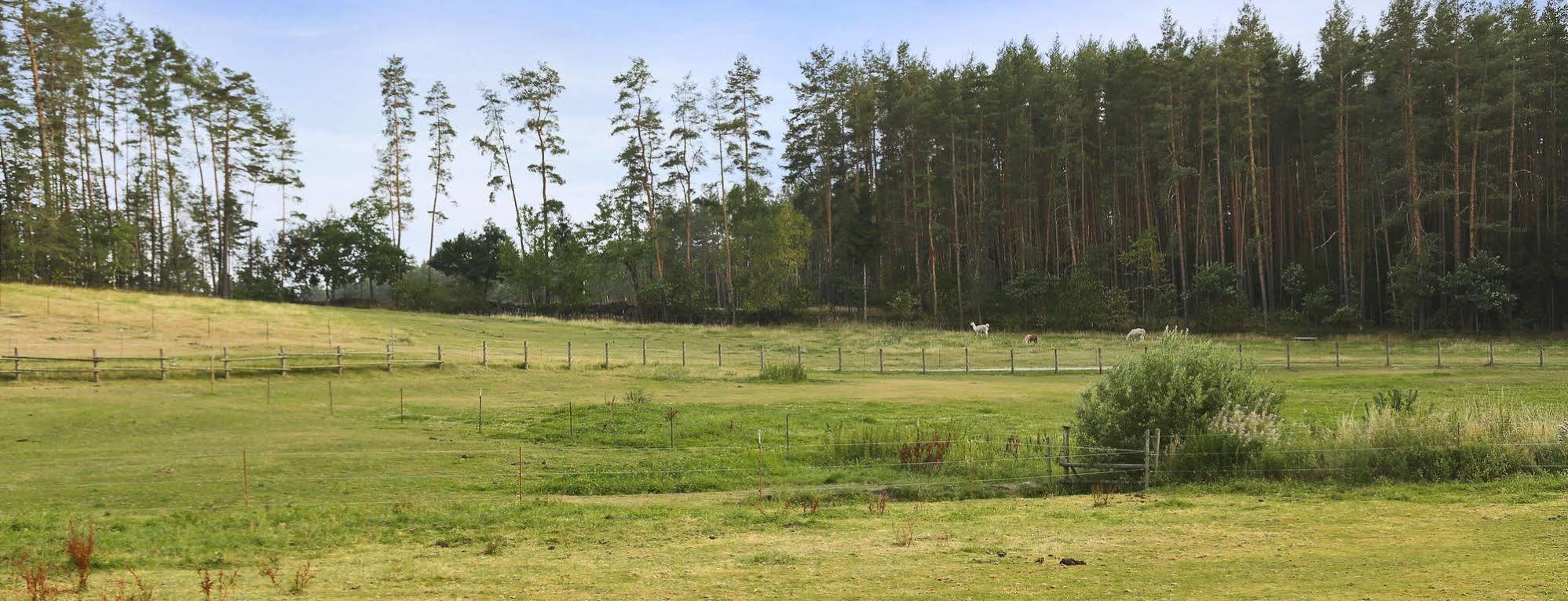 Waldhotel Baechlein Mitwitz Kültér fotó