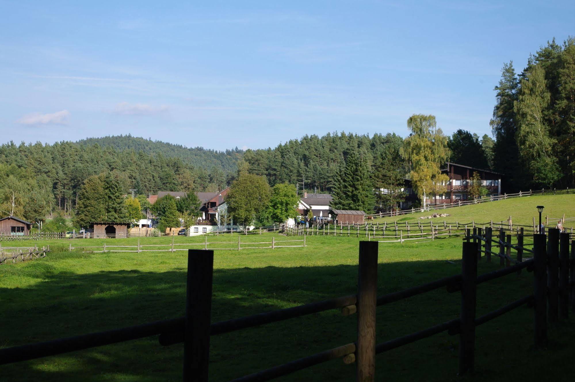 Waldhotel Baechlein Mitwitz Kültér fotó